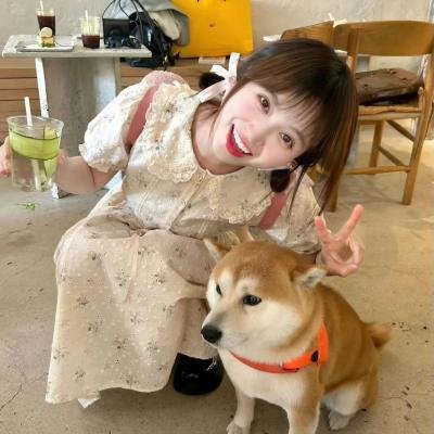 侠医粤語